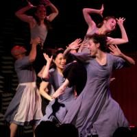 Photo Flash: Emelin Theatre Announces Dance Series For 09/10 Video